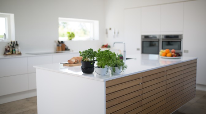 green-leafed-plants-on-kitchen-island-1358900