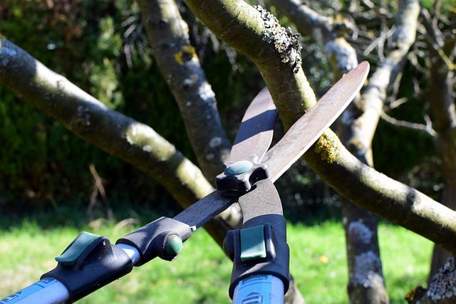pruning-shears-hedge-trimmer